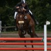 sport_20110318_1221799027